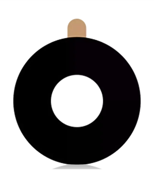 Lentila Camera Spate Telefon LG Stylo 3